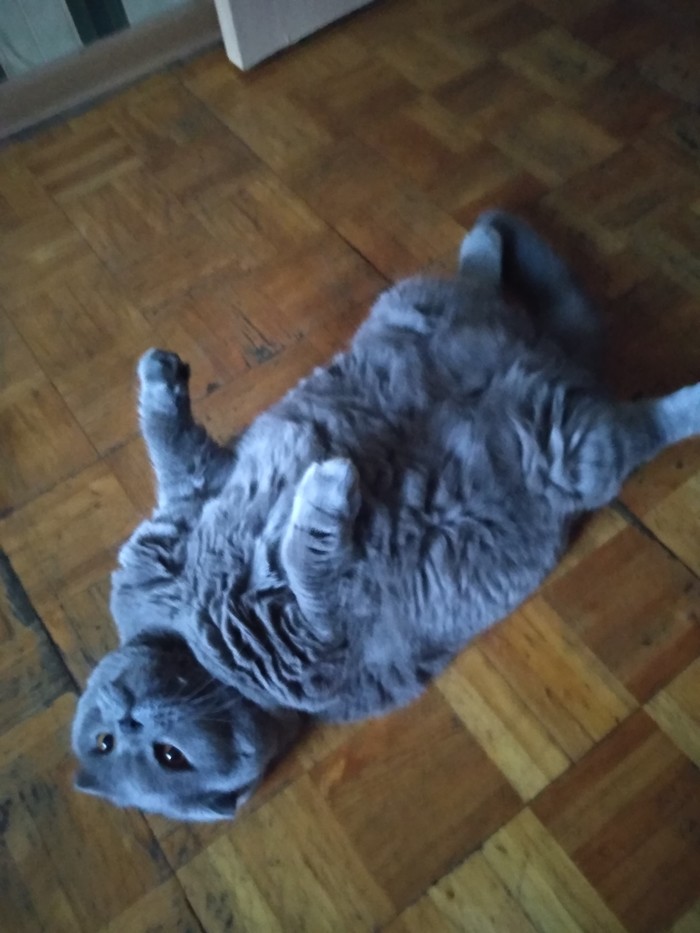  , , ,  