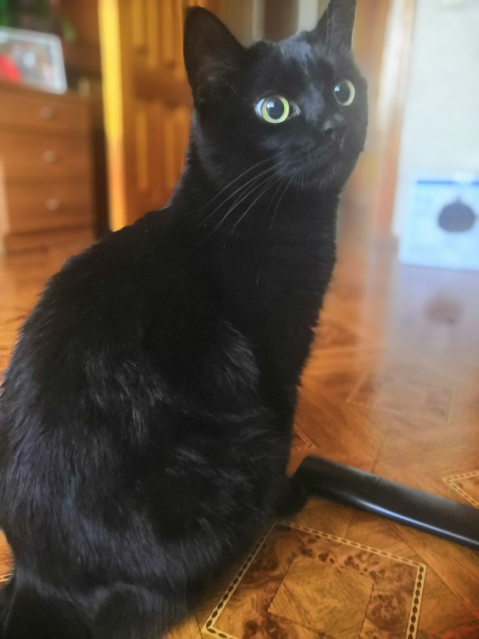 ����� ����������� �� ����, � �� �� �����