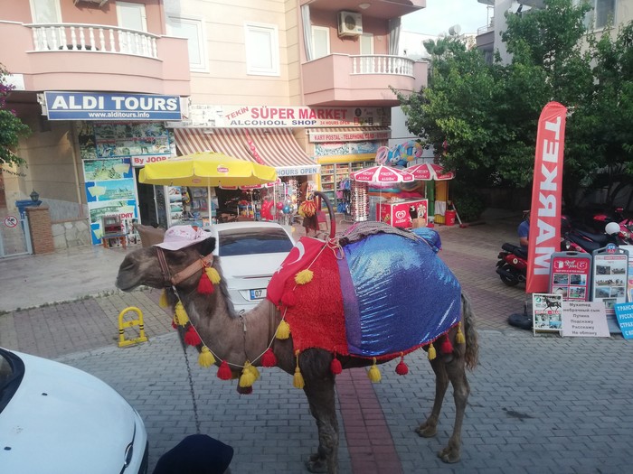 ���� �� ��������