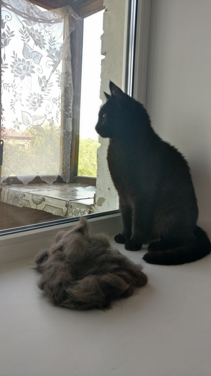 Худеет к лету