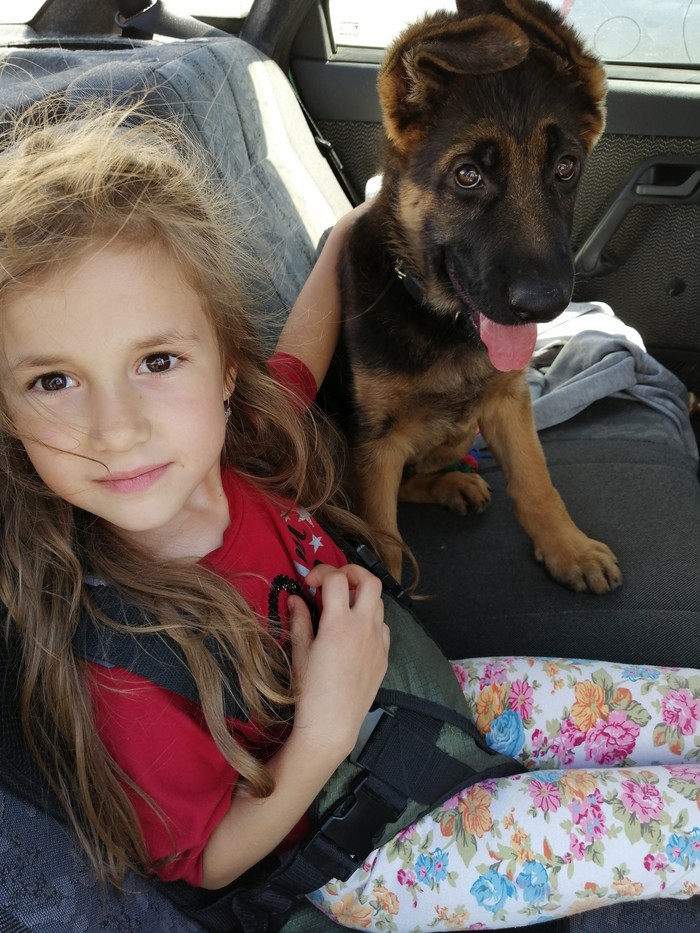 My favorite kids - German Shepherd, Children, Dog