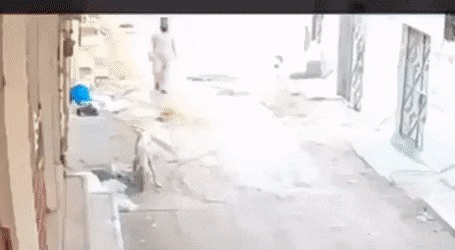 Вот муд@ла