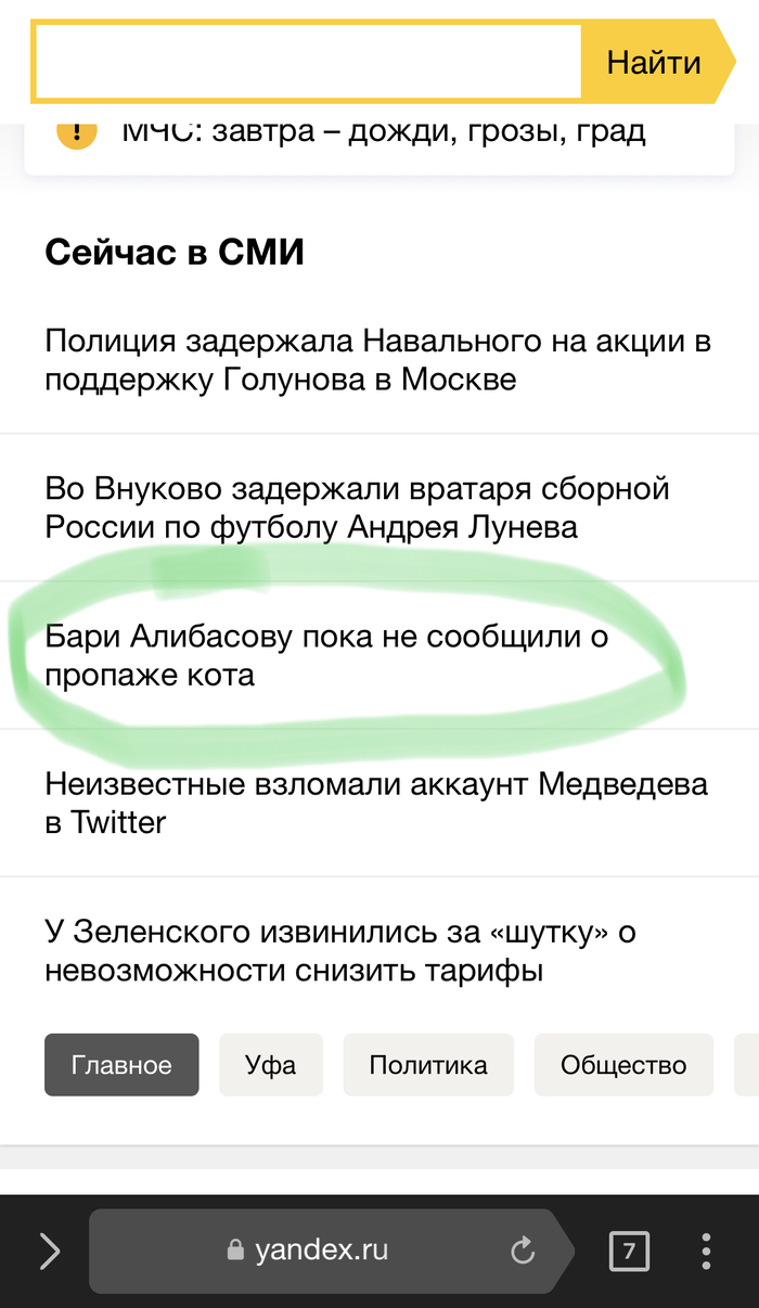 The news we deserve - Yandex News, cat