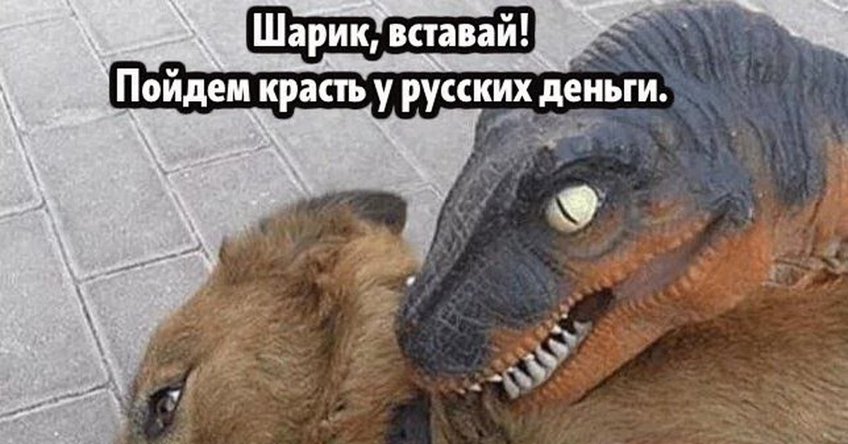 Еврей ящер. Собака динозавр. Мемы про динозавров. Шарик пошли красть у русских деньги. Собака и ящерица.