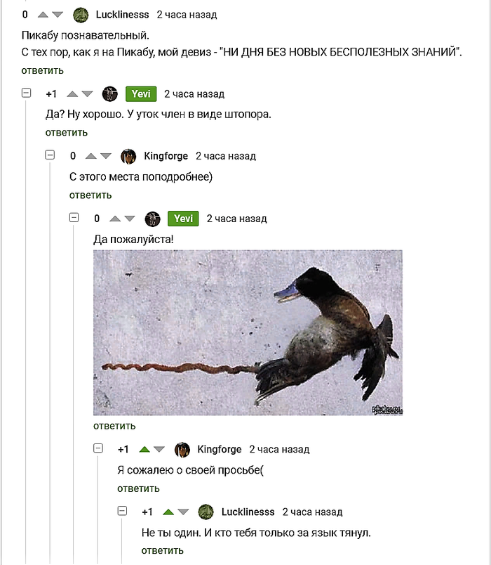 "     "   , , -