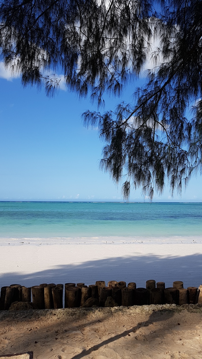 Kiwengwa, Zanzibar - My, Tanzania, Zanzibar, Longpost