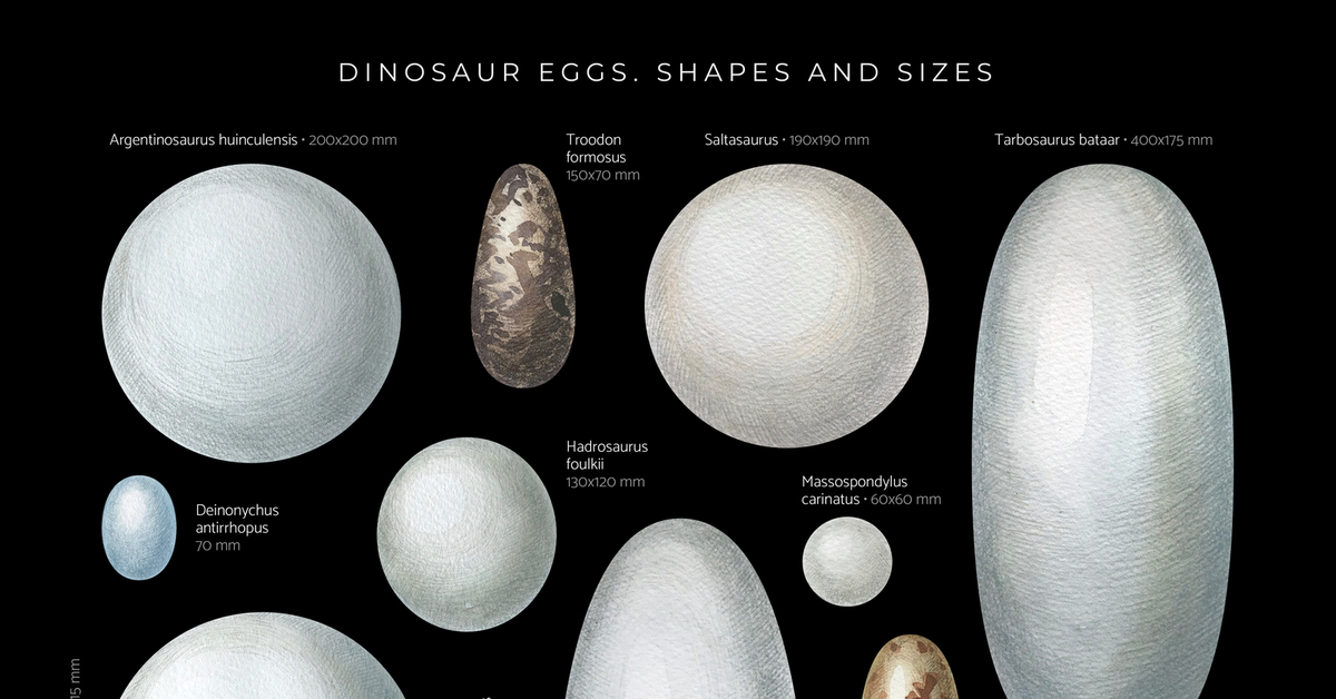 Яйца динозавров. 