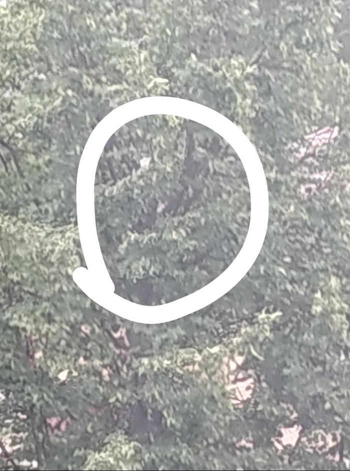 ������ �����