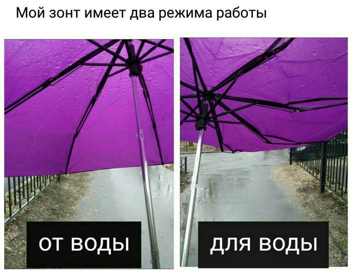 Do not get wet or draw water? - My, Umbrella, Rain, Sod's Law