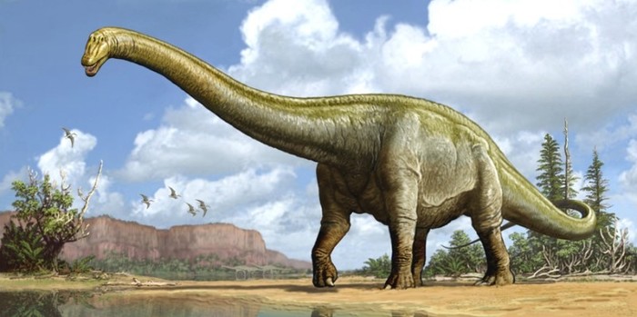 Древние животные – самые крупные и опасные существа прошлого Доисторические животные, Хищник, Длиннопост, Артроплевра
