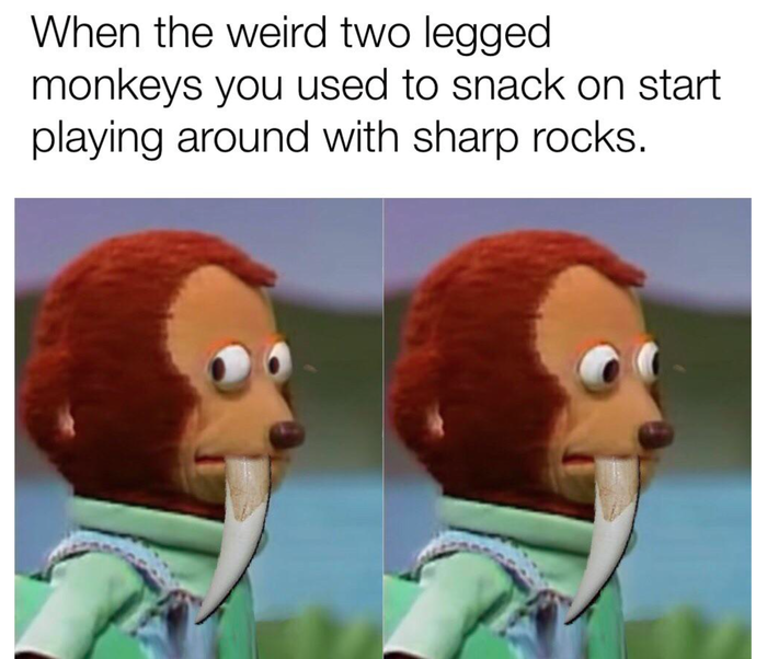     ,   , 
