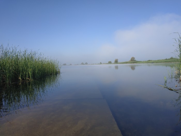 Morning on the pond - My, Pond, dawn, Highlights