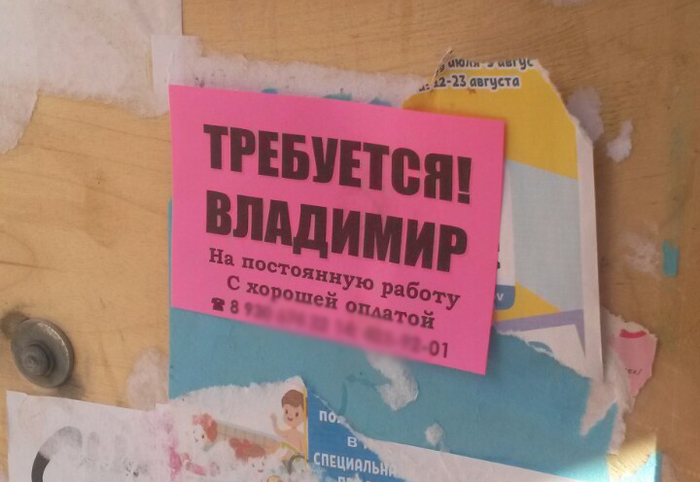 Требуется Владимир! | Пикабу