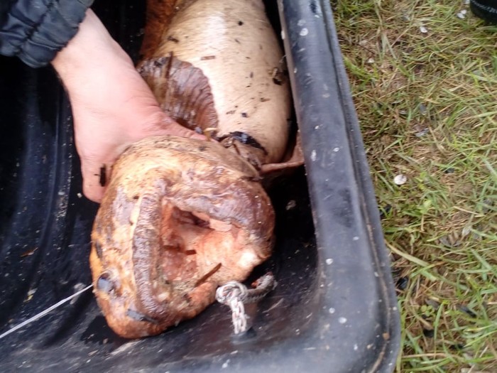 рыба собака пресноводная фото. Смотреть фото рыба собака пресноводная фото. Смотреть картинку рыба собака пресноводная фото. Картинка про рыба собака пресноводная фото. Фото рыба собака пресноводная фото рыба собака пресноводная фото. Смотреть фото рыба собака пресноводная фото. Смотреть картинку рыба собака пресноводная фото. Картинка про рыба собака пресноводная фото. Фото рыба собака пресноводная фото