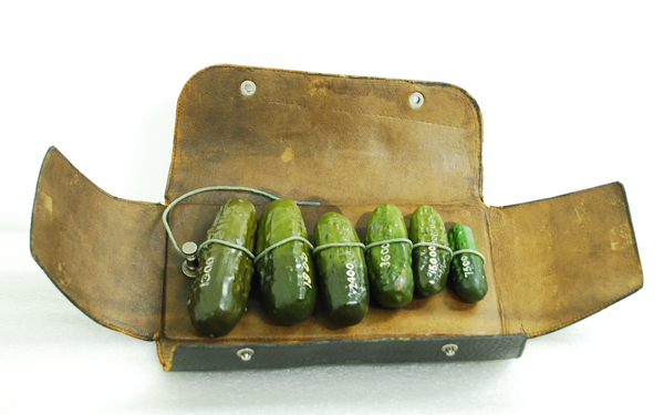 Heinz seller's size sample of pickled cucumbers, 1900 - Story, Interesting, Heinz, Cucumbers, Standards