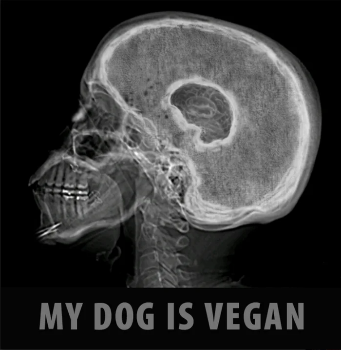 �� ���� ���������, � ����� ������ �������