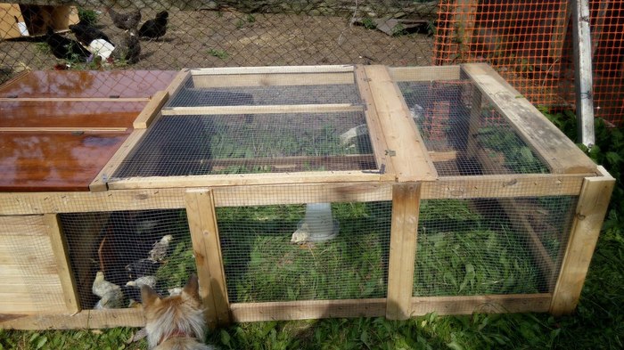 курица и свинья видео. Смотреть фото курица и свинья видео. Смотреть картинку курица и свинья видео. Картинка про курица и свинья видео. Фото курица и свинья видео курица и свинья видео. Смотреть фото курица и свинья видео. Смотреть картинку курица и свинья видео. Картинка про курица и свинья видео. Фото курица и свинья видео