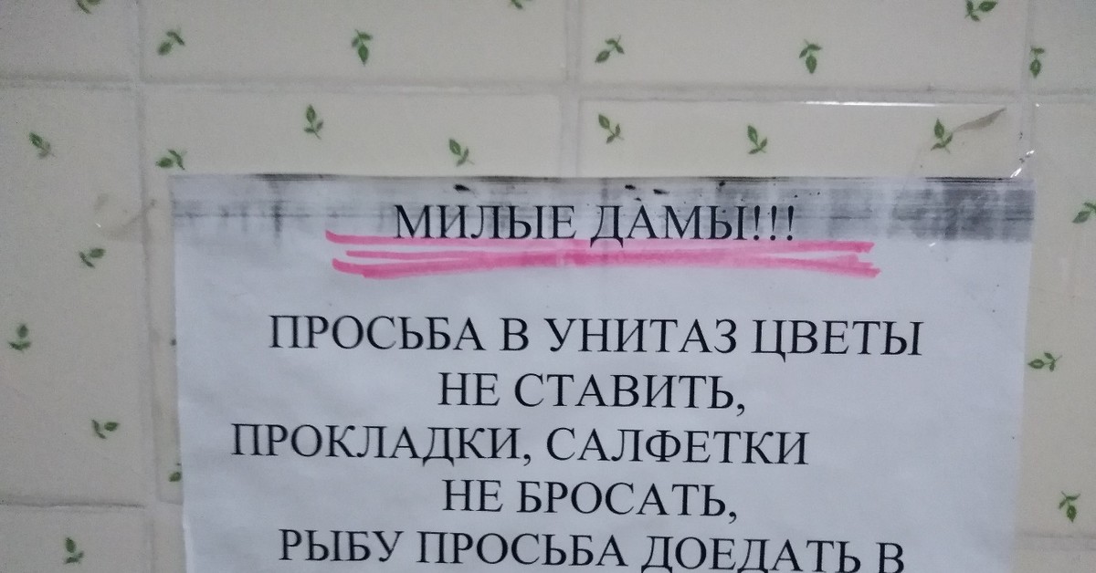 Туалет текст