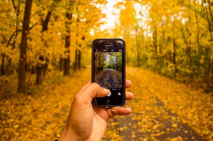 Как фотографировать на смартфон: шпаргалка для чайников - Моё, Длиннопост, Фотография, Юмор, Смартфон, Гаджеты