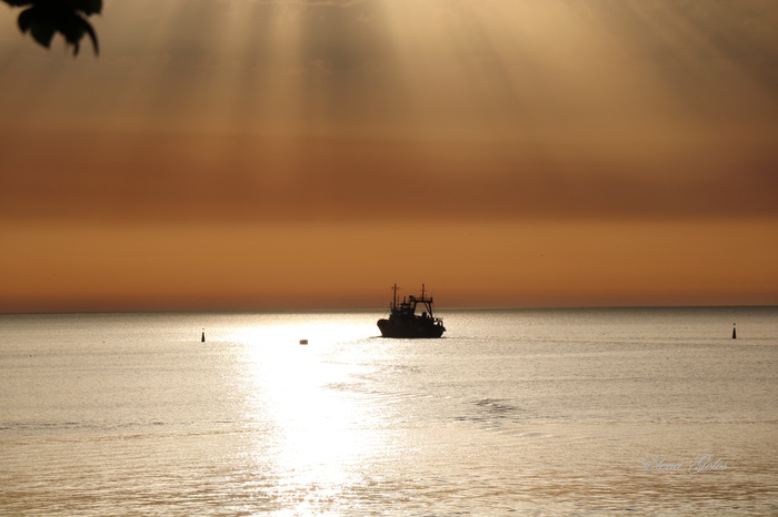 Golden evening in Sevastopol - My, Mother's, The photo, Sevastopol, Summer, Sea, Longpost