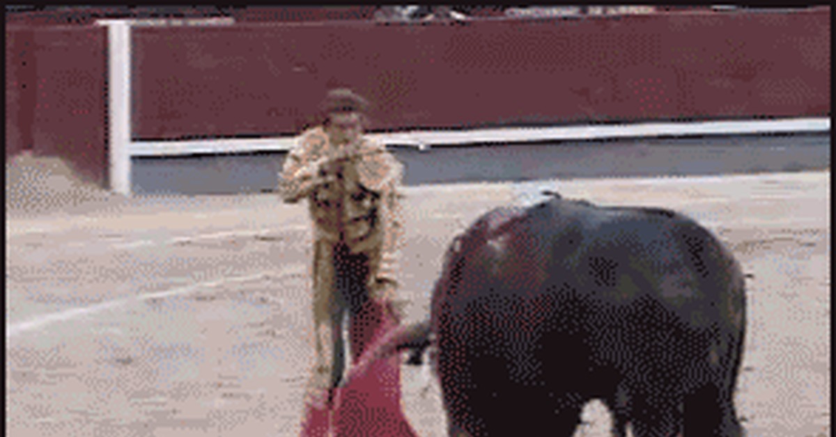 Mess With The Bull Get The Horns Gif