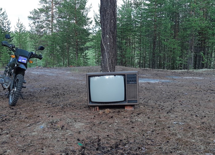 SONY TV - My, TV set, Forest