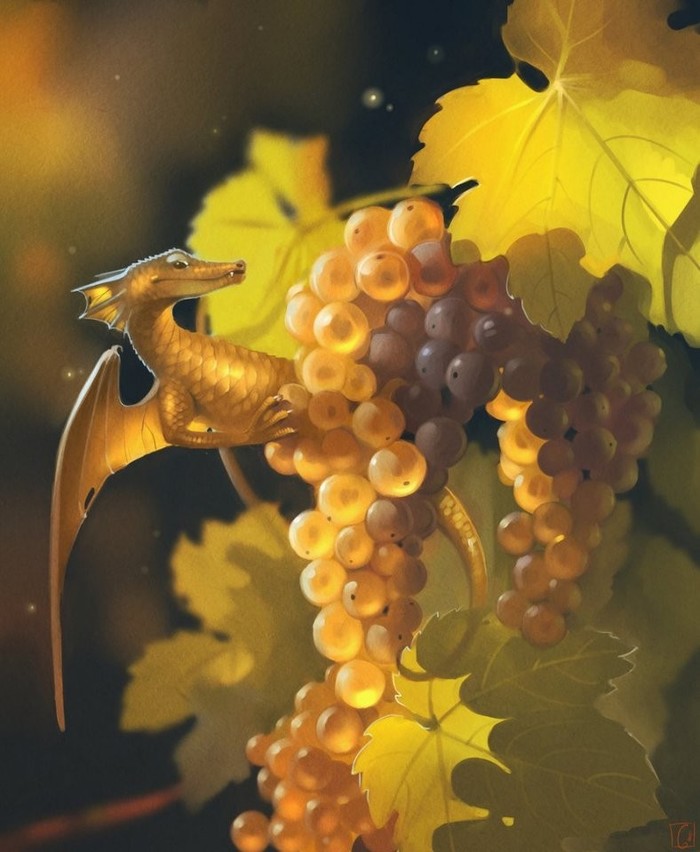 grape dragon - Art, The Dragon, Grape, Gaudibuendia