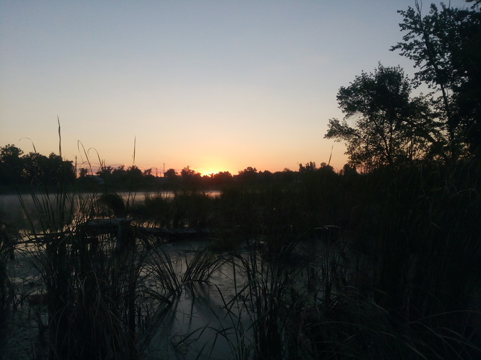 Morning fishing - My, Tench, Fishing rod, Fishing, Video, Longpost
