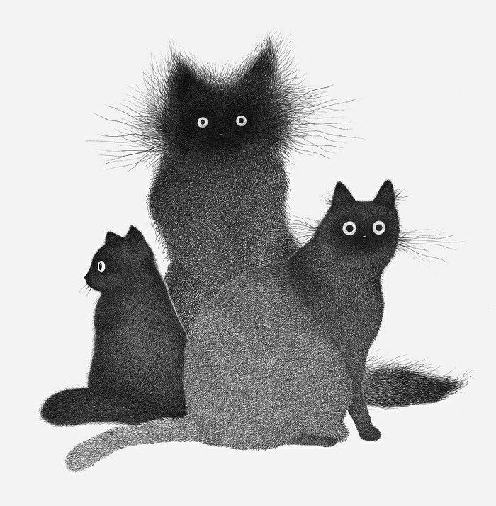 FAQ? - cat, Art, Black cat, Black and white, Kamwei Fong