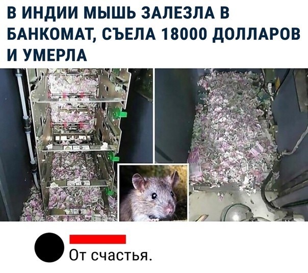 Mouse Robin Hood! - Mouse, ATM, Dollars, Ate, India, In contact with, Comments