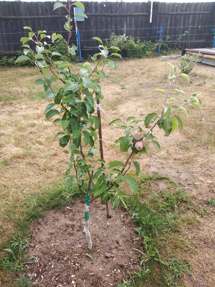  &quot;&quot; +  &quot; &quot;. .