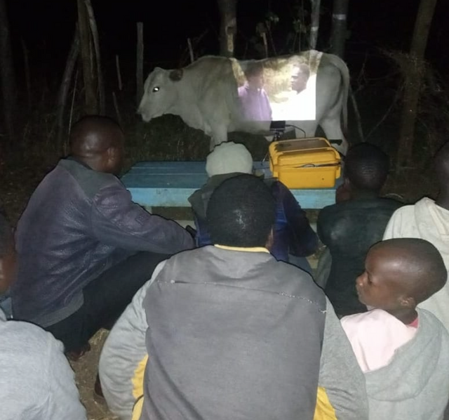Mobile screen, African version - From the network, Projector, Africa, Screen, Cow