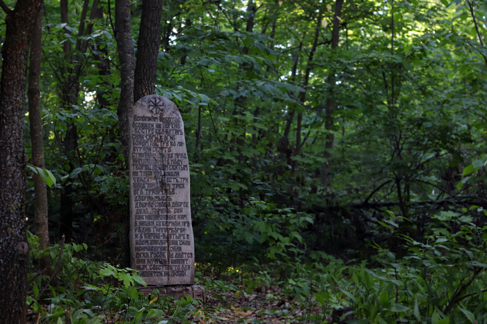 message in the forest - My, Forest, The photo, Idol, Paganism, Beginning photographer, Tolyatti