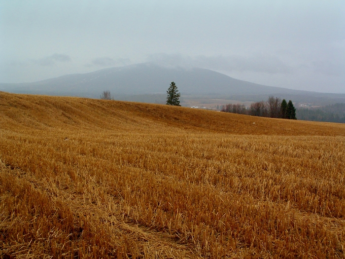 Лето, ты куда...