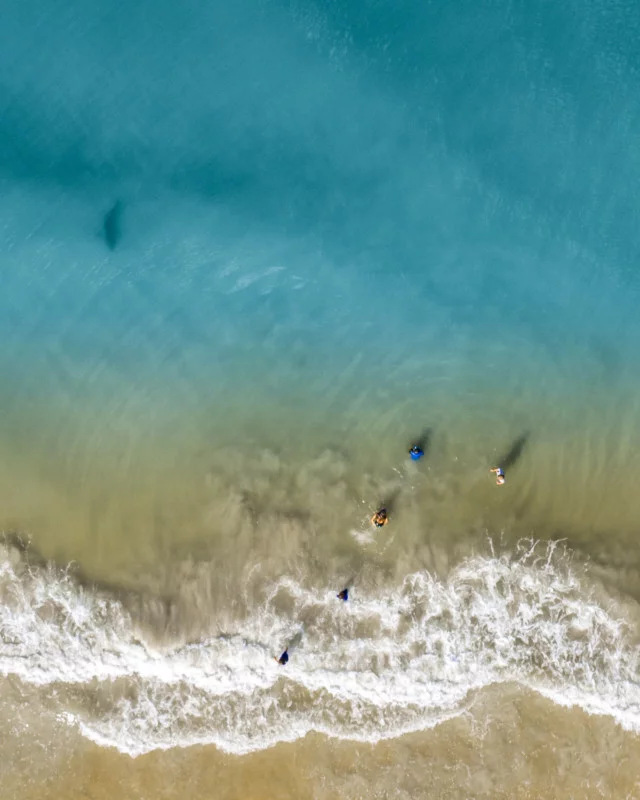 Drone photographer saves family from shark - Longpost, Sea, Summer, Relaxation, Shark, Quadcopter, The photo, Interesting