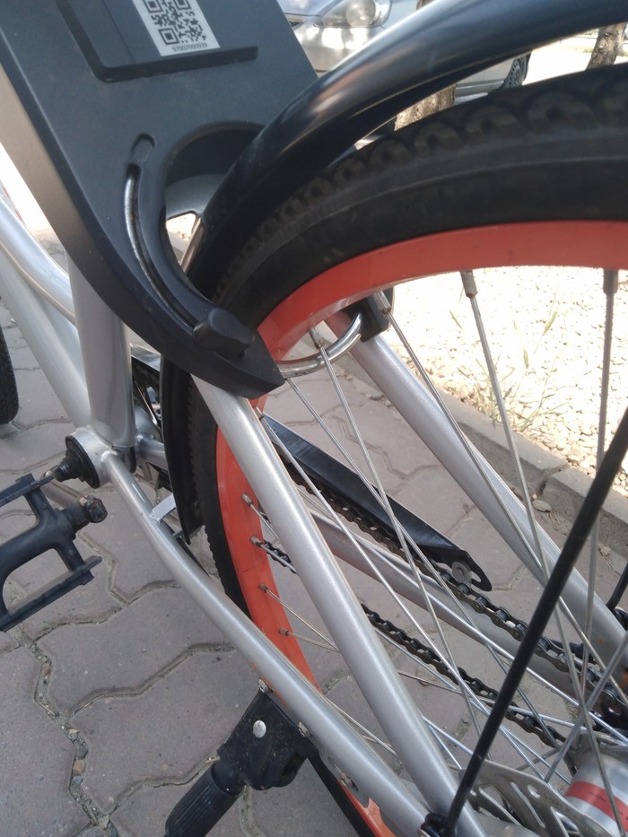 Аренда велосипедов. | Пикабу