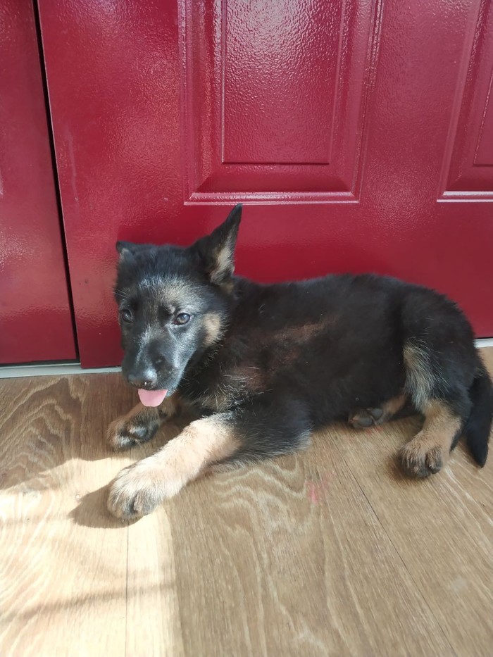 ��� ����� ������, � � ����� ����