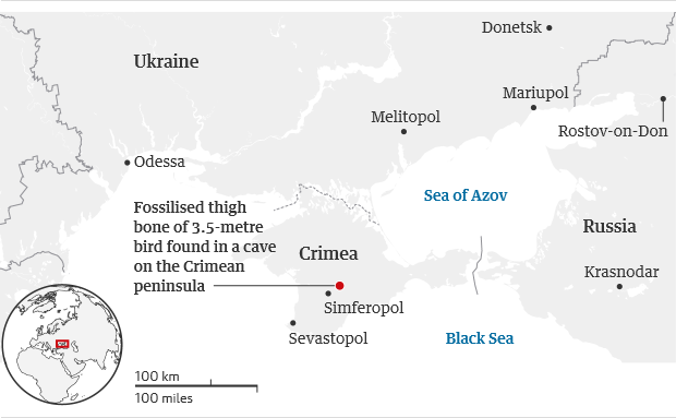 Fossils of the largest bird of the Northern Hemisphere found in Crimea - Paleontology, Interesting, Informative, Birds, , Crimea, Find, Copy-paste, Longpost, Giants