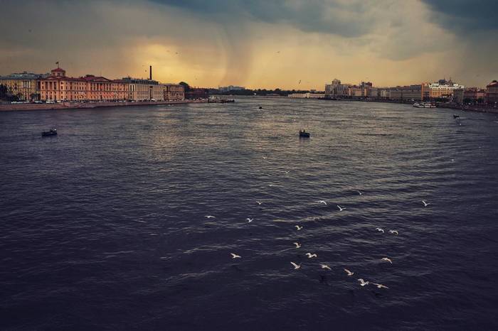 Rain coming - My, The photo, Saint Petersburg, Town, Rain, Olympus
