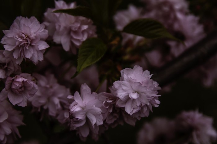 �������� � ����