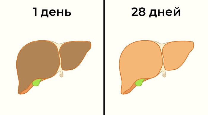 5+ изменений в организме, если отказаться от алкоголя хотя бы на месяц - Алкоголь, ЗОЖ, Алкоголизм, Длиннопост