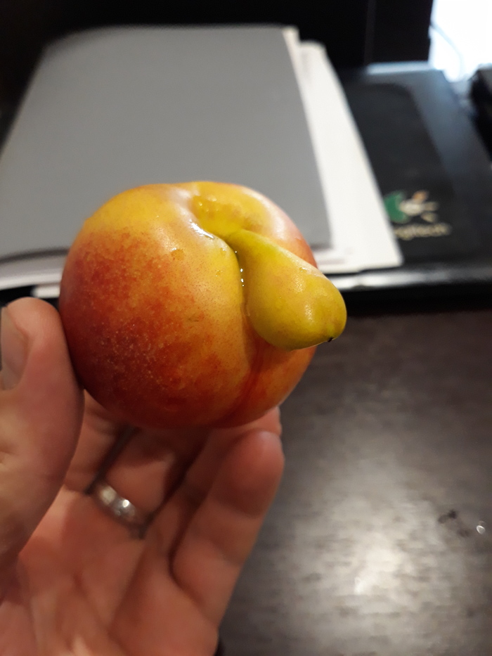 Peach naked. - My, Peach, Naked, Peaches, Naked