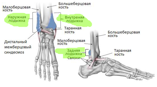 For a thin head and legs do not rest - My, Ipria, Linguofriki, Russian language, Alternative English, Nauchpop, Video, Longpost