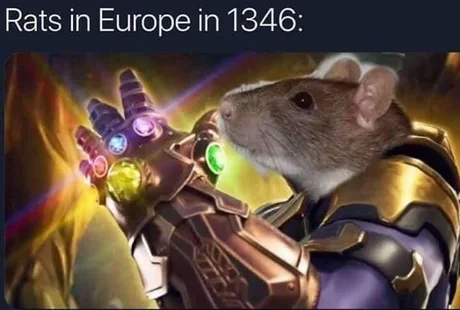 Rats in Europe in 1346 - Europe, Rat, Plague, 