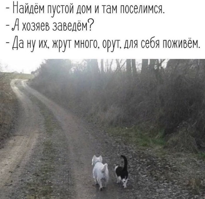 https://cs11.pikabu.ru/post_img/2019/07/07/6/1562488744177596589.jpg