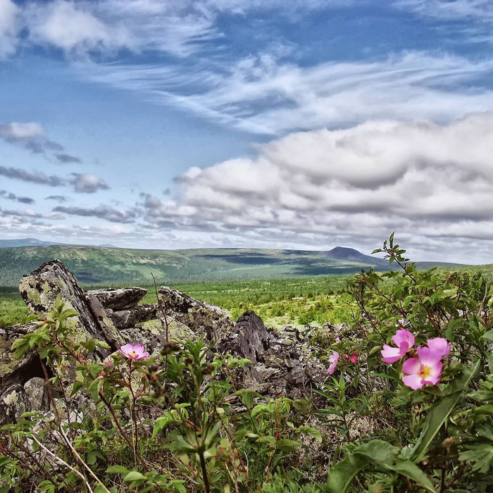 Northern Urals, Mount Sampalchahl - Ural, The mountains, Sverdlovsk region, Ivdel, Tourism, The photo, Nature, Landscape