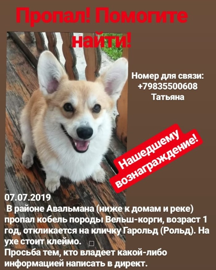 ������� ������ �.�������