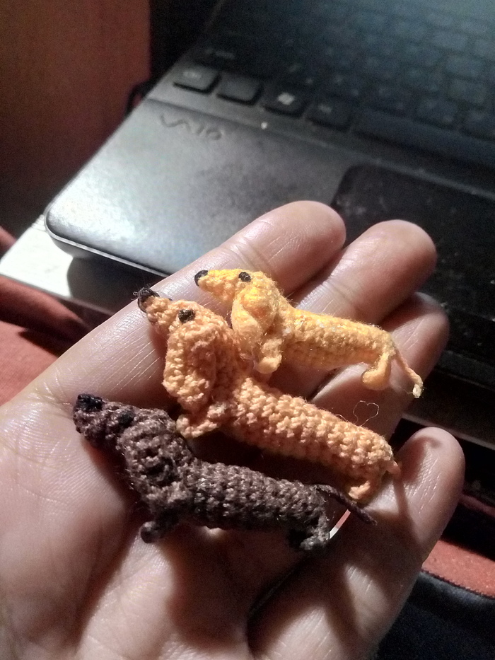 My dachshunds - My, Amigurumi, Crochet, Knitted toys, , Longpost