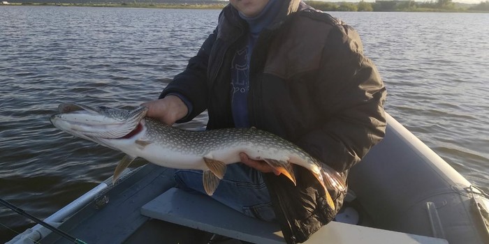 On the weekend I went to the old place for pike, again a trophy, I didn’t weigh it because the electronic scales were still on the way, ps I paid for trolling. - My, Fishing, League of fishermen, Longpost