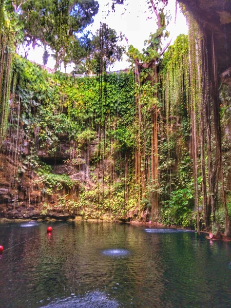 Cenote Ik-Kil - swim in the underground lake - Travels, Peace, Lake, Relaxation, Resort, Longpost, Mexico